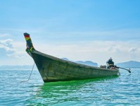 揭秘熊猫，一般人不知道的五大冷知识