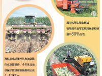 科技在农业中的作用小报：精准农业如何让耕作更轻松高效，实现产量与资源双赢
