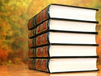 花与花搭配的花语和寓意，探索花卉组合的深层含义