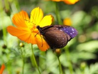 百科问题全答案大全免费，探索知识的无限可能