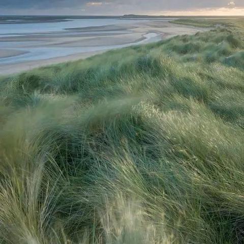 幼儿园必刷题库4000题，全面开发儿童潜能的黄金钥匙