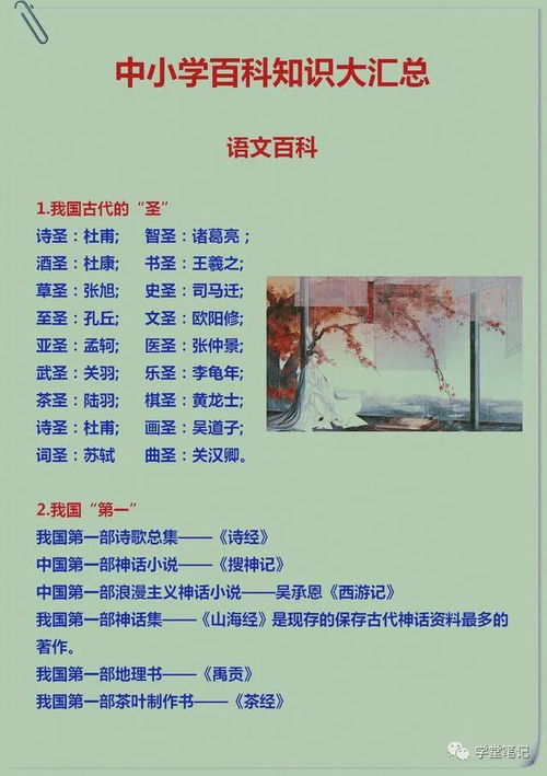 百科常识读后感，知识的海洋，智慧的灯塔