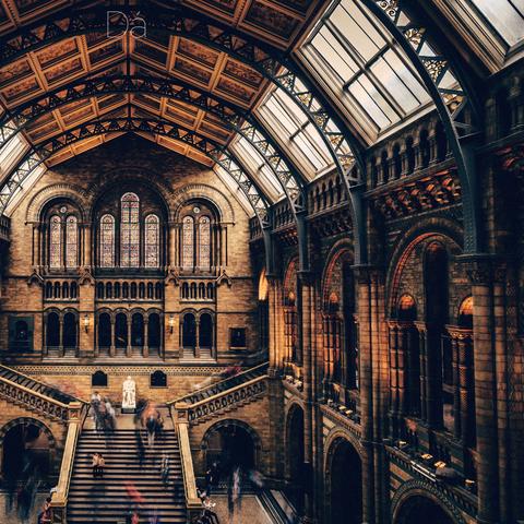 百科全书知识大全合集，探索知识的无限边界