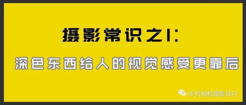 公基必背100个知识土豆，掌握这些知识，让你成为生活中的百事通