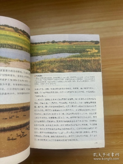 中国地理知识百科全书，探索华夏大地的奥秘