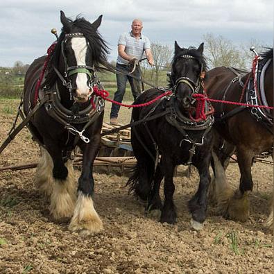 科技在农业发展中的运用：智慧农业如何让耕作更轻松高效