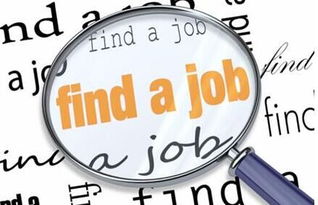 金融科技应用专业好就业吗？揭秘高薪就业前景与实用求职攻略